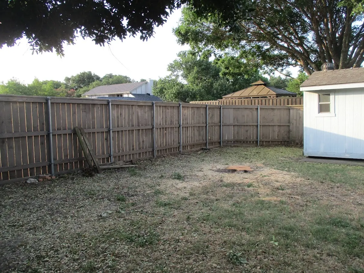 Cleared yard after professional tree removal in Applegate